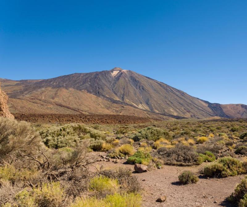 Qué hacer en Tenerife con niños gratis